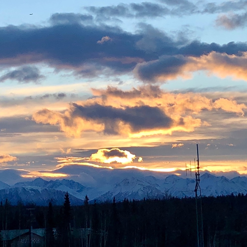 Meet your Posher, Barbara